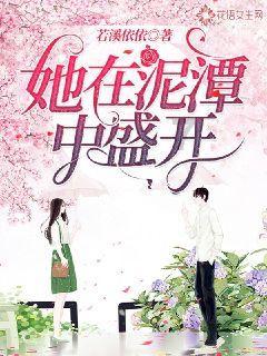 月光影视