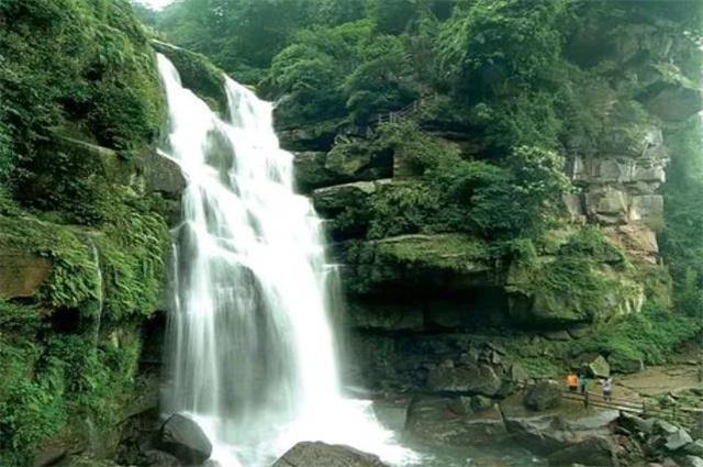 春雨直播app